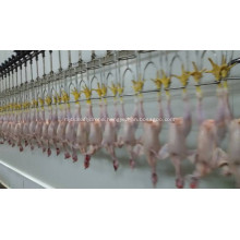 Automatic poultry slaughtering equipment